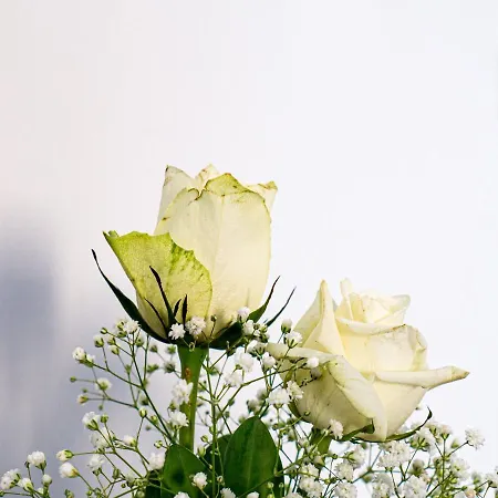 Bed and Breakfast Birose 4*