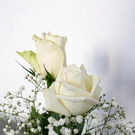 Birose Alojamento de Acomodação e Pequeno-almoço 4*