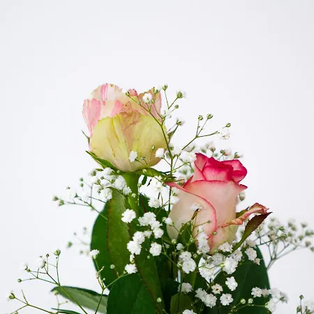 Bed and Breakfast Birose Οτράντο