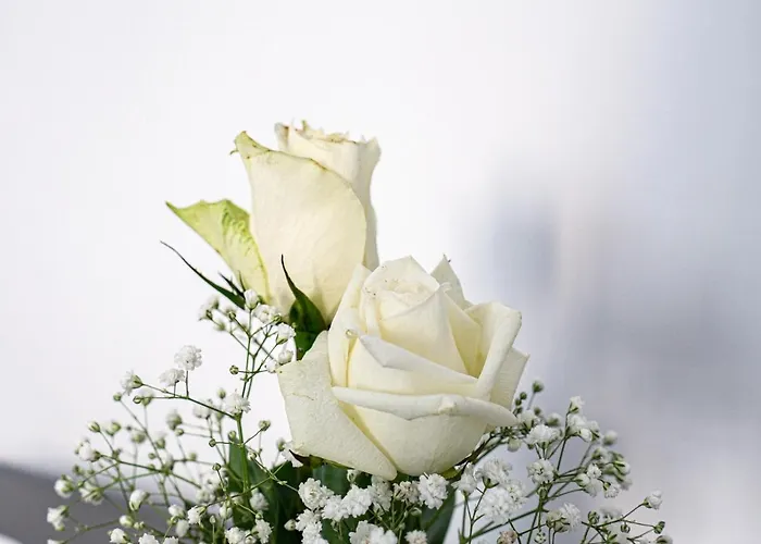 Birose Bed & Breakfast 4*