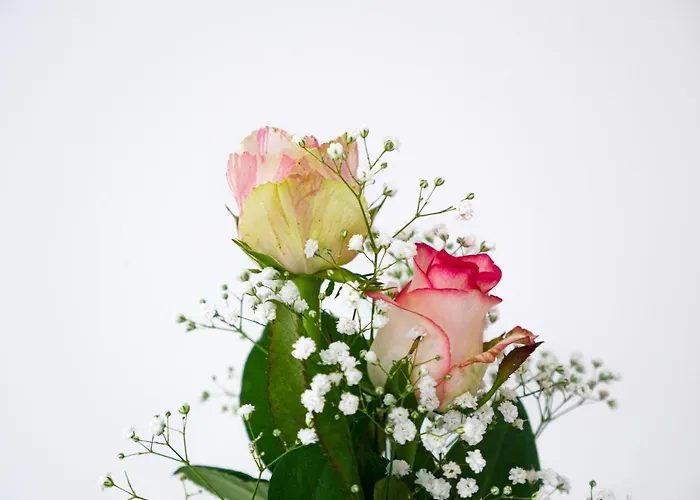 Bed & Breakfast Birose Otranto